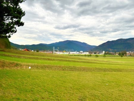 Die Perle des Piestingtales | Hinreißendes Grundstück mit Bergblick
