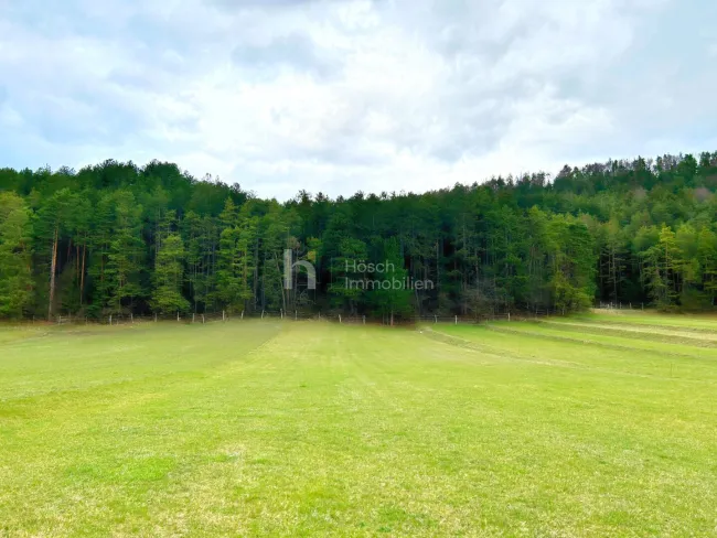 Die Perle des Piestingtales | Hinreißendes Grundstück mit Bergblick - Titelbild