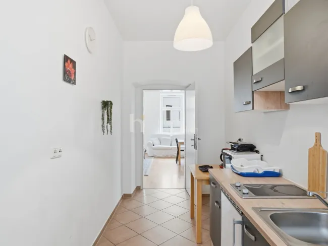 Altbau mit Freiraum nahe Donaukanal – Wohnungen mit Garten, Balkon oder Loggia - Bild