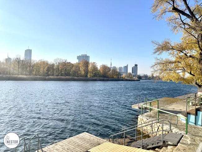Wohnung - NESTOR Immobilien