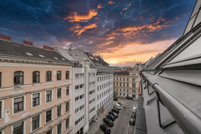 Imposants Wohnjuwel | 7 Stilwohnungen mitten in der Stadt [DG + kernsanierter Altbau] | elegant & hochwertig - Bild