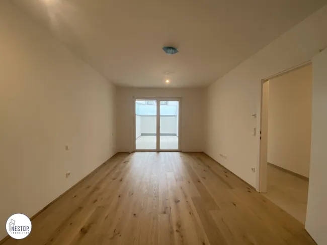 Zimmer 1