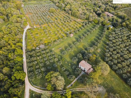 Rarität - Steinhaus auf einem Grundstück mit 17.700 m2 - teilweise touristische Zone!!