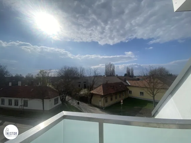 Ausblick