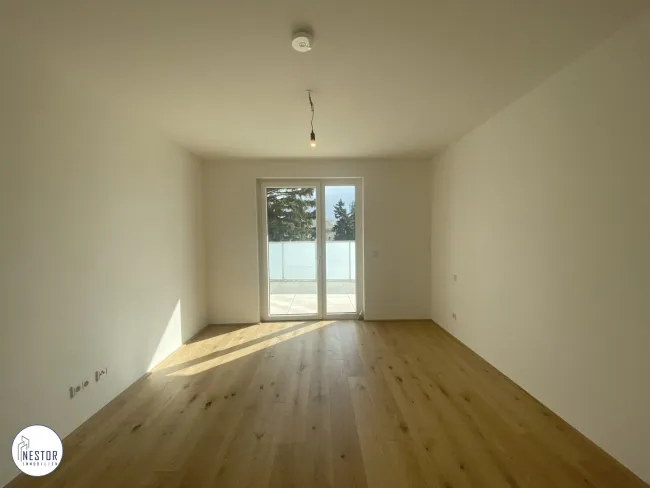 Zimmer 2