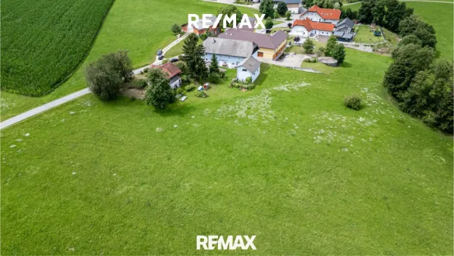 NEUER PREIS: Baugrundstück in Ottnang ohne Bauzwang - Bild