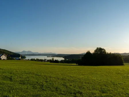 In der Nähe des Wallersees