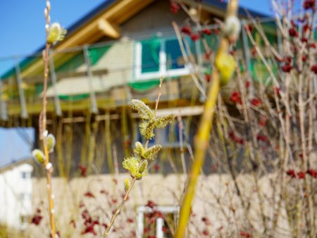 DAS LILIENQUARTIER 23 Provisionsfrei | Neubau-Reihenhaus in Straßwalchen 'VIERZEHN C'