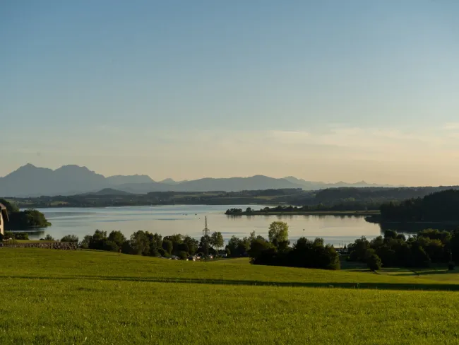 In der Nähe des Wallersees
