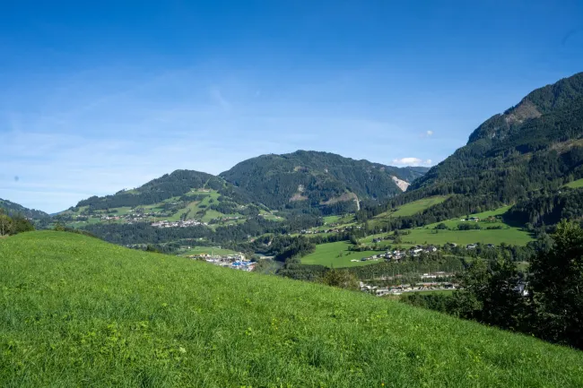 Aussicht nach Osten über freie Wiese - DAS PENTHOUSE