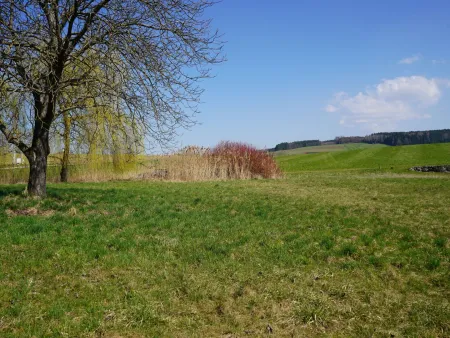 RUHEPOL MOOSDORF | Sonnige Baugrundstücke in Jedendorf am Grünland | Für Projektentwickler & private Hausbauer