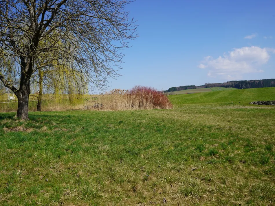 RUHEPOL MOOSDORF | Sonnige Baugrundstücke in Jedendorf am Grünland | Für Projektentwickler & private Hausbauer - Bild