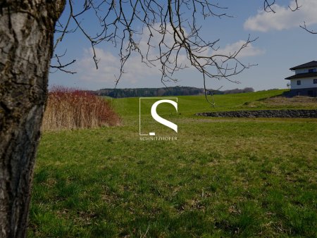 BAUEN NAHE SALZBURG | Leistbares Baugrundstück in Moosdorf am Grünland | Für Ihr Einfamilienhaus