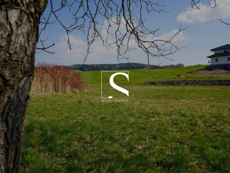 BAUEN NAHE SALZBURG | Leistbares Baugrundstück in Moosdorf am Grünland | Für Ihr Einfamilienhaus
