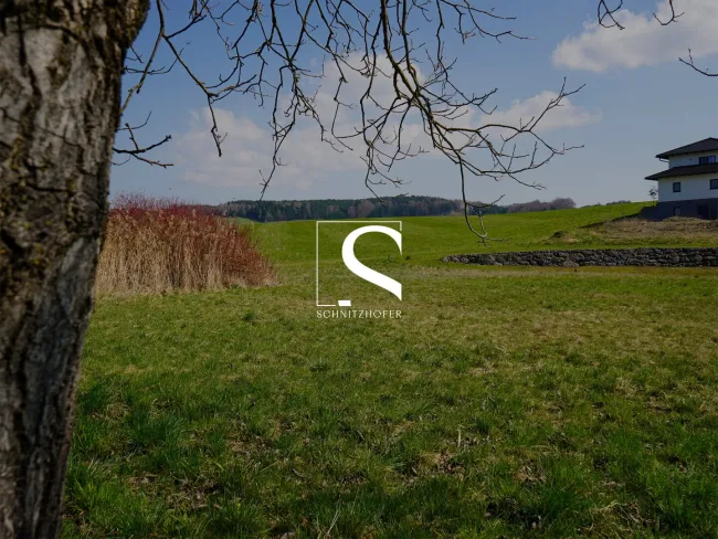 BAUEN NAHE SALZBURG | Leistbares Baugrundstück in Moosdorf am Grünland | Für Ihr Einfamilienhaus - Titelbild