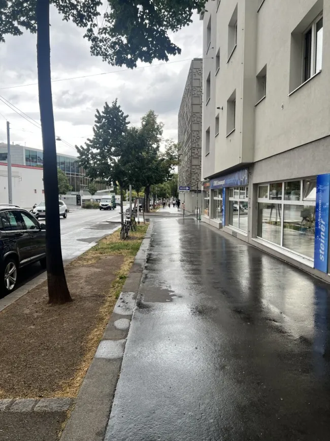 Helles Büro mit 5 Zimmern und 2 WCs gegenüber Stadthalle– gepflegt und sofort bezugsbereit! - Bild