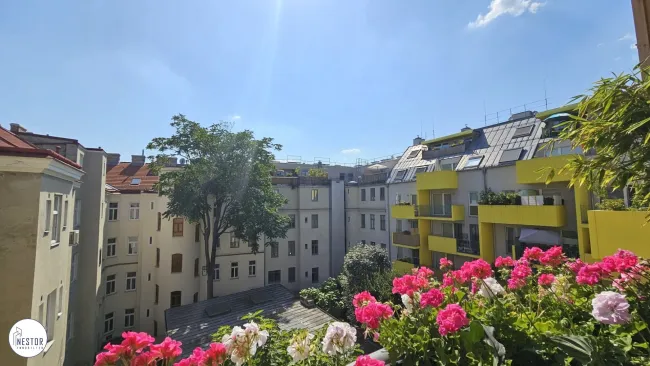 Wohnung - NESTOR Immobilien