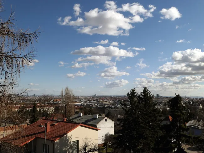 Ausblick vom Grundstück