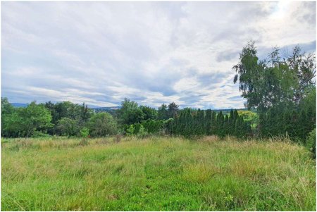 Wittgnsteinstraße 85