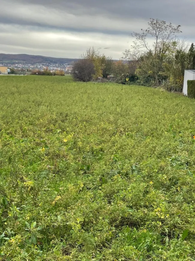 Baugrundstück - Sackgasse - Fernsicht - Bild
