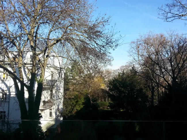STILVOLLES WOHNEN IN DER VILLENGEGEND: Moderne Wohnung mit Gartenblick - Bild