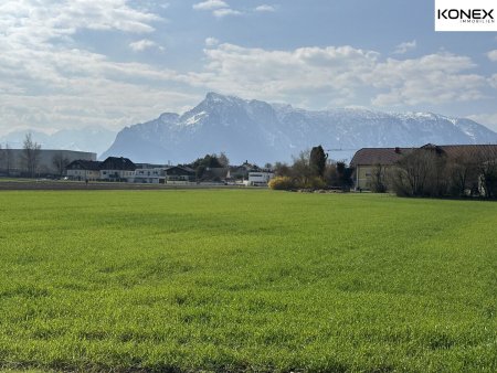 Sonniges Baugrundstück in Salzburg-Maxglan mit eigener Zufahrt