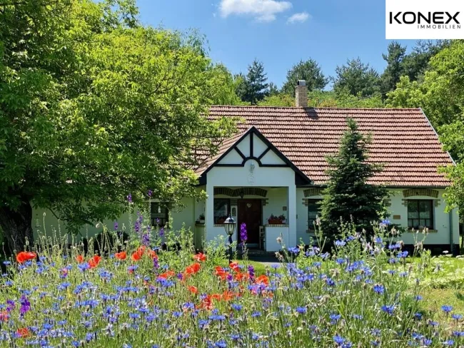 Wunderschön renoviertes Bauernhaus mit 2 Wohneinheiten in Bugac (Ungarn) – Ruhelage, 19.800 m² Grundstück - Titelbild
