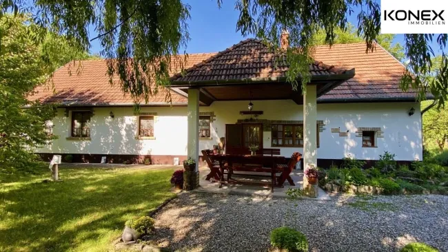 Wunderschön renoviertes Bauernhaus mit 2 Wohneinheiten in Bugac (Ungarn) – Ruhelage, 19.800 m² Grundstück - Bild