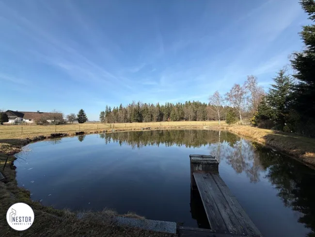 Fischteich - NESTOR Immobilien