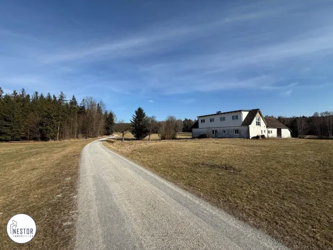 Haus - NESTOR Immobilien