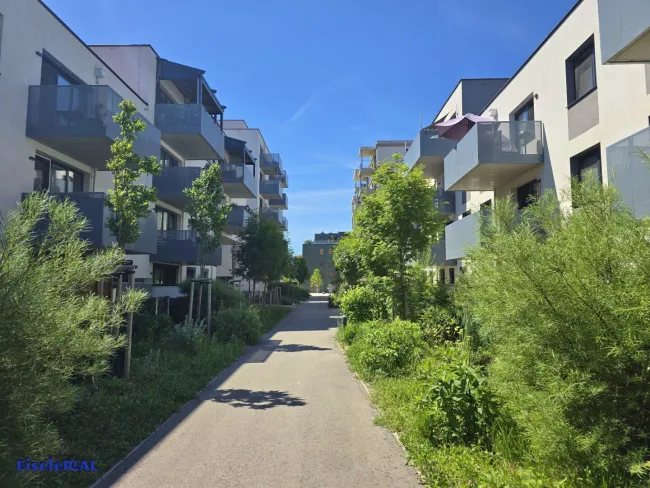 Exklusive Gartenwohnung – Neuwertig - Bild