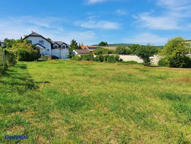 sonniger Baugrund für Einfamilienhaus - Bild