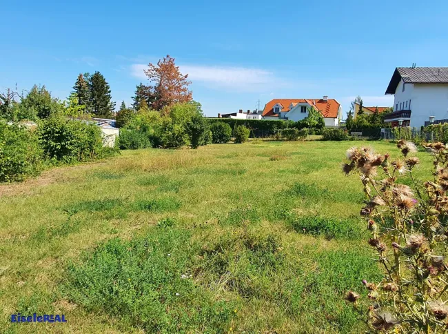 sonniger Baugrund für Einfamilienhaus - Titelbild