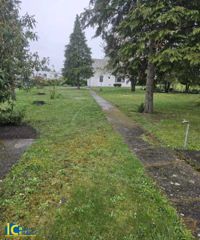 Großer parkähnlicher Grund