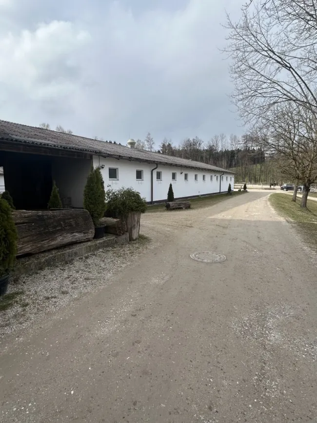 Romantischer Reithof mit Potential - Bild