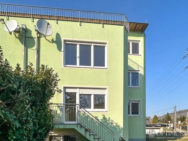 Doppelhaushälfte mit außergewöhnlichem Potenzial in ruhiger Grünlage – großzügige Raumstruktur, Terrassen und Garten! - Bild