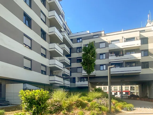 AM KIRSCHBLÜTENPARK WOHNEN !!! Moderne 3-Zimmer-Neubauwohnung mit 2 Balkonen und Garagenplatz zu verkaufen! - Bild