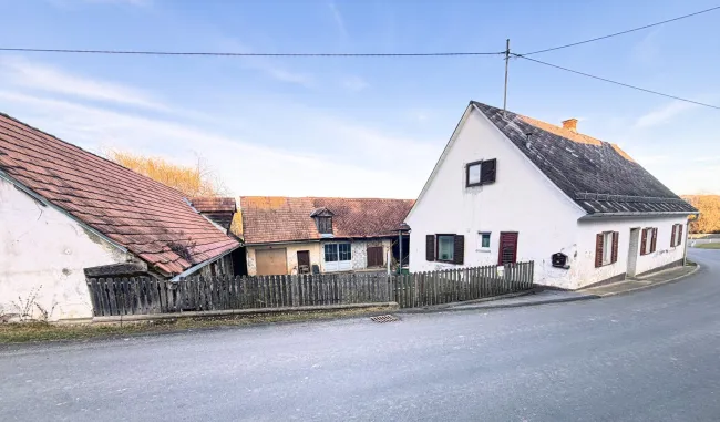 Einfamilienhaus mit Entwicklungspotenzial auf großzügigem Grundstück inklusive Landwirtschaftsflächen und Wald - Bild