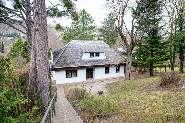 Grundstück in Hinterbrühl - Top Lage mit Potenzial für Neubau oder Sanierung - Bild