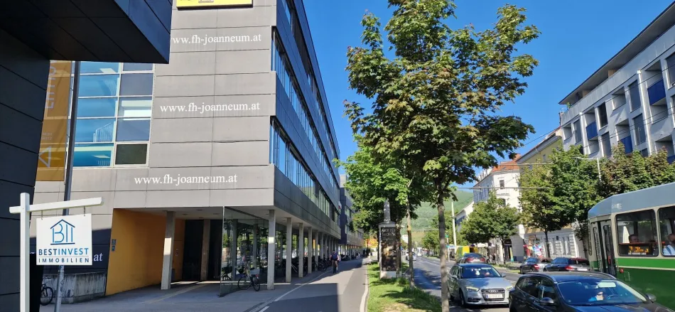 Leistbarer Wohntraum - schöne helle und ruhige Wohnung - Bild