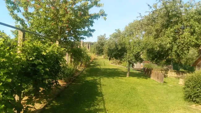 SANIERTES EINFAMILIENHAUS IN ABSOLUTER RUHELAGE - Titelbild