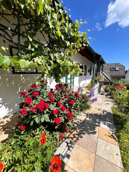 Stilvolles Einfamilienhaus in idyllischer ruhiger Lage in Großpetersdorf