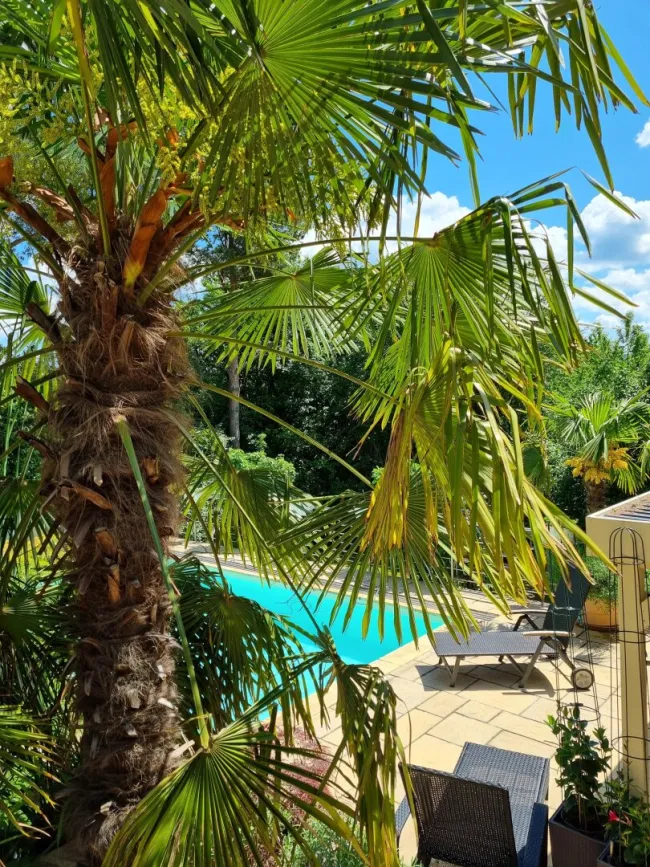 Exklusives Wohnerlebnis mit vielen Highlights - machen Sie Urlaub in Ihrem Haus im Wienerwald - Bild