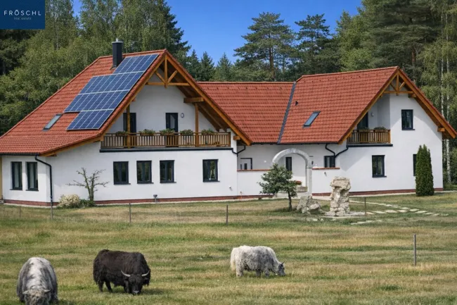 Ansicht Haupthaus, Stallgebäude von der Weide