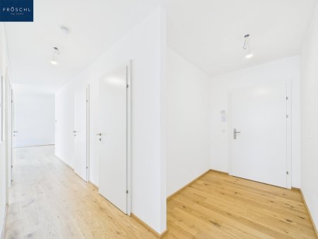 Blick auf den Gang und Eingang der Wohnung Top 13