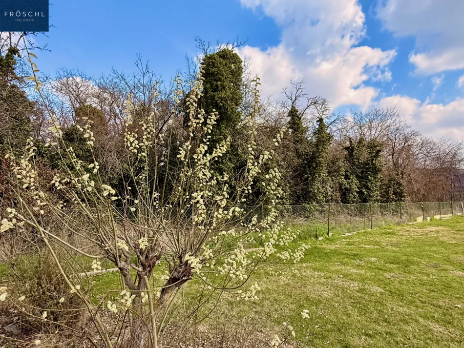 Baugrundstück in Altenburg – ruhige Wohnlage nahe Horn im Waldviertel - Titelbild