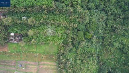 Ubud, Bali - Indonesien – 6.000 m² für Visionäre - Seltenes Freehold-Grundstück mit Tourismuswidmung