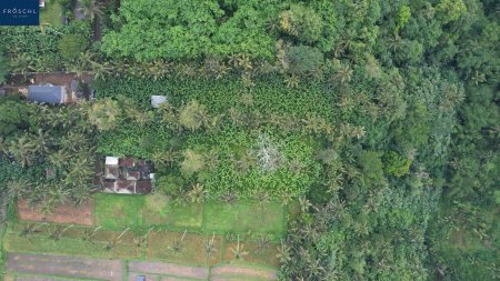 Ubud, Bali - Indonesien – 6.000 m² für Visionäre - Seltenes Freehold-Grundstück mit Tourismuswidmung