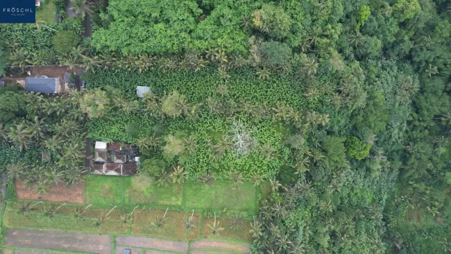 Ubud, Bali - Indonesien – 6.000 m² für Visionäre - Seltenes Freehold-Grundstück mit Tourismuswidmung - Titelbild