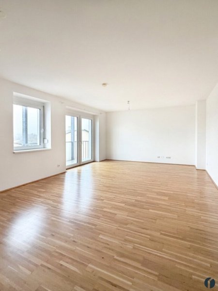 Küche mit Wohn-Esszimmer